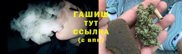 крисы Баксан