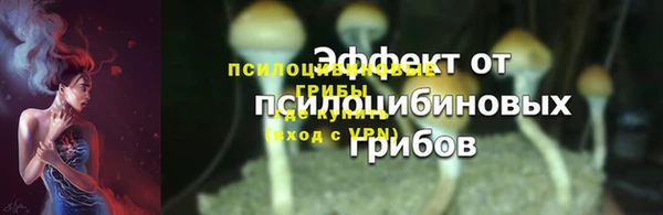 крисы Баксан