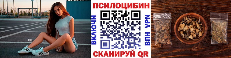 KRAKEN зеркало Билибино Псилоцибиновые грибы Cubensis сайты даркнета какой сайт где купить